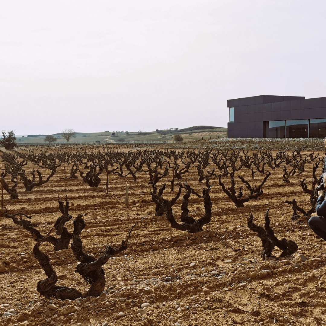 Post de Instagram Novedad Productos Cosmética Beig Femenino